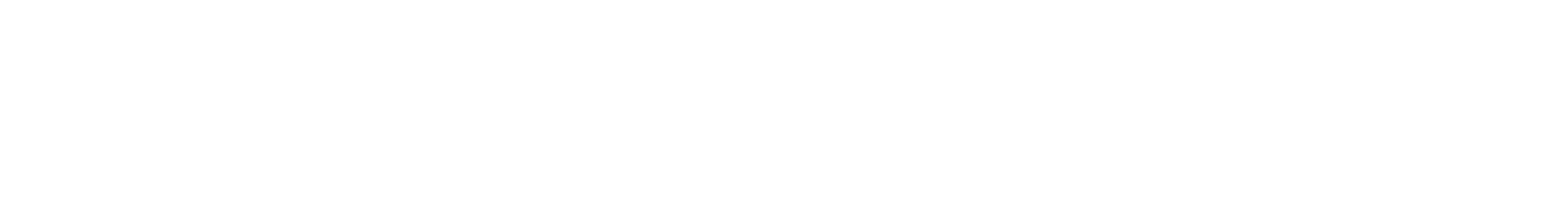 IBT FINTECH SOLUTIONS